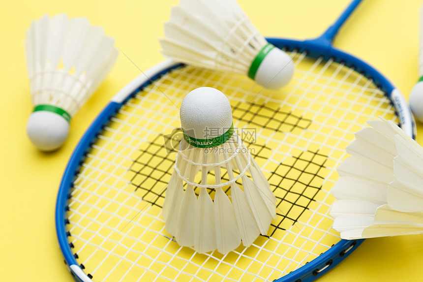 的精神共振 的精神共振