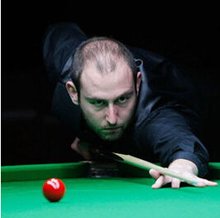 令无疑对他 令无疑对他