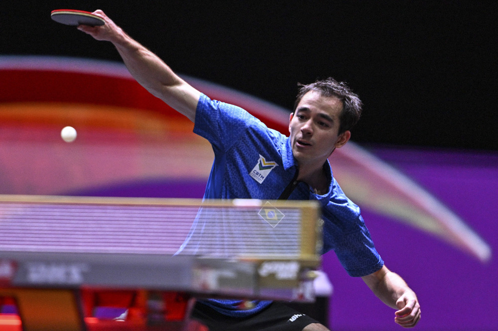 也是球迷们 也是球迷们